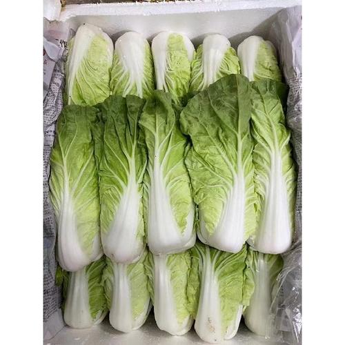 宝安沙井工厂蔬菜批发配送,生鲜批发报价-广东华洲农产品配送服务有限