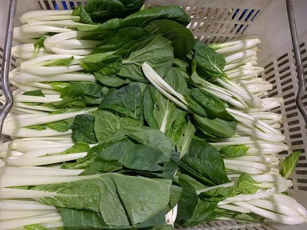 同城蔬菜生鲜配送怎么选?当天采摘+冷冻运输,新鲜直达餐桌